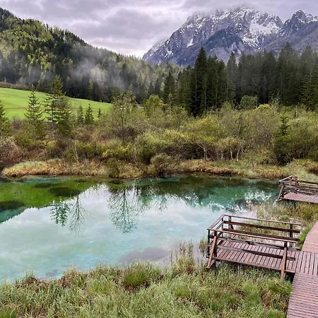 In - Kranjska *