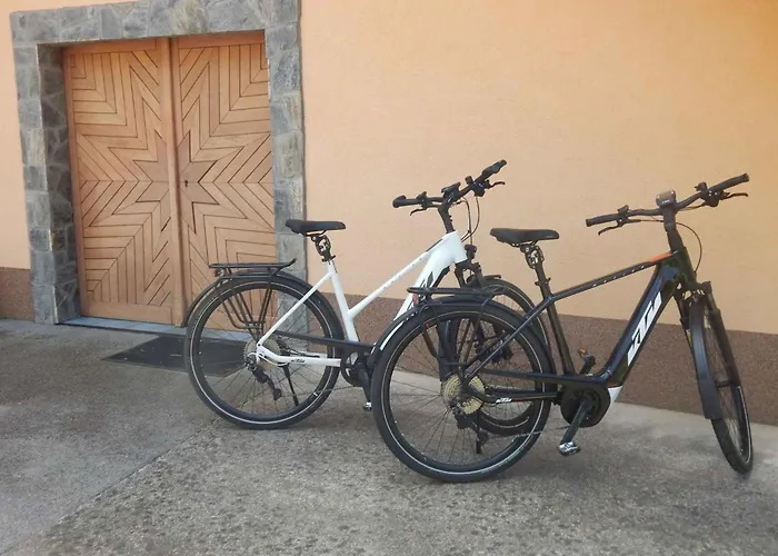 In - Kranjska Otočec