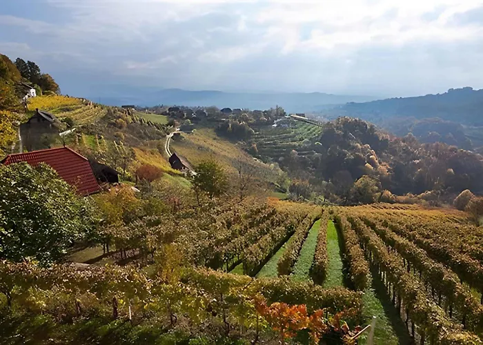 Ferienhaus In - Kranjska *