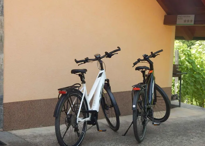 In - Kranjska Сasa de vacaciones Otočec